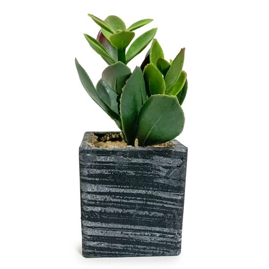 vaso-com-suculenta-artificial-planta-de-jade
